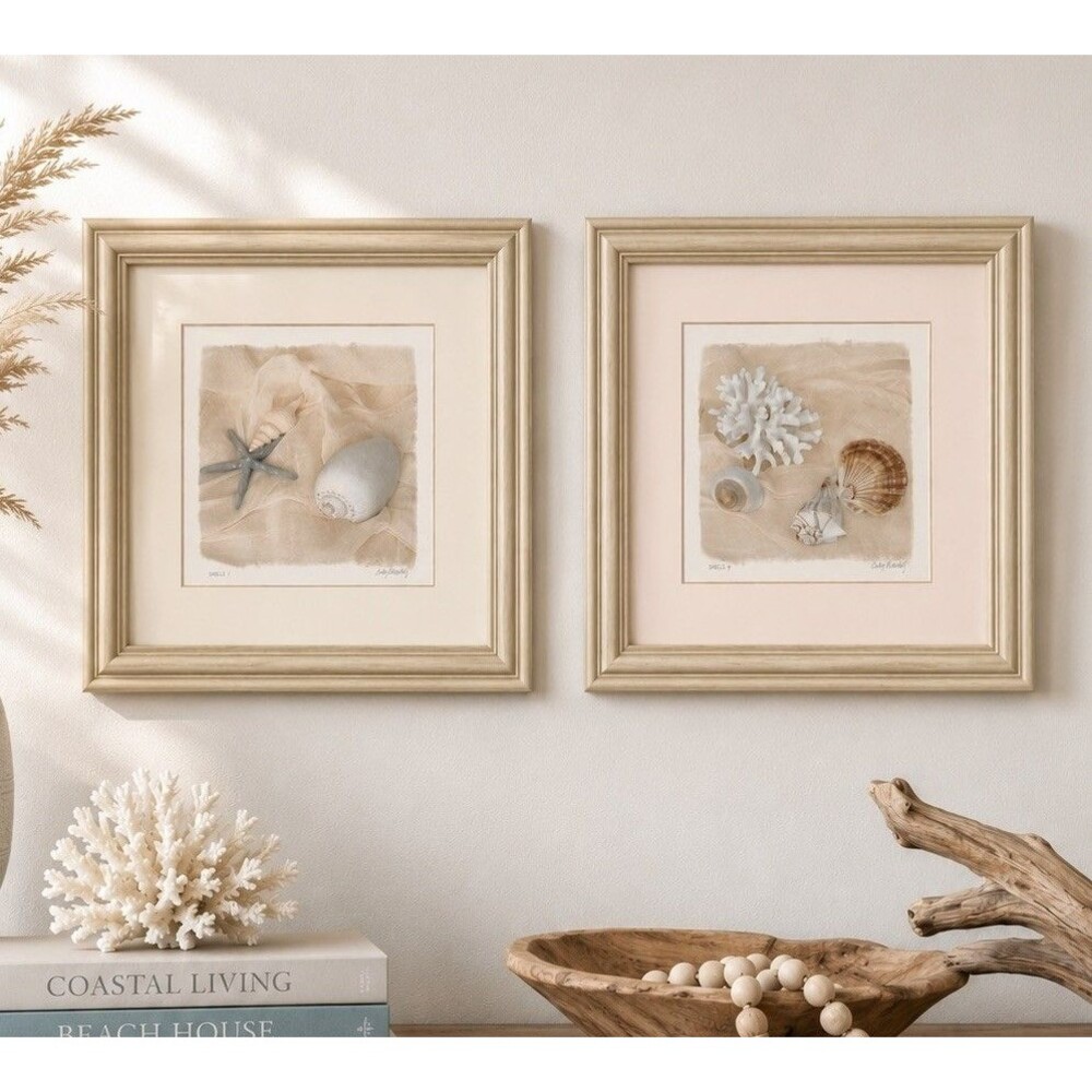 Judy Mandolf Shells 1 & 4 Signed Framed Coastal Wall Art Set 2 12x12 Beach Decor